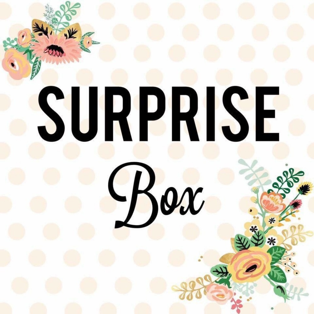 Hair Bow/ Hair Clip Mystery Box